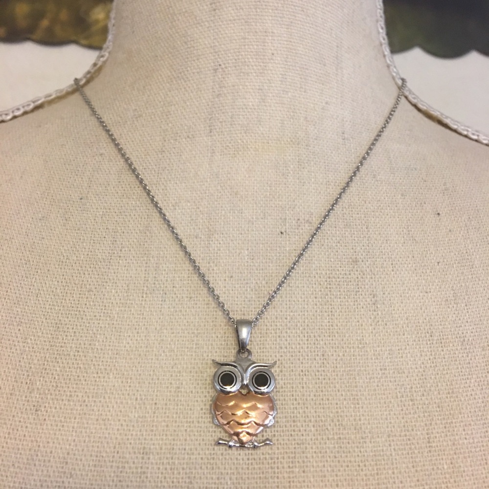 Stainless steel and copper owl pendant on chain
